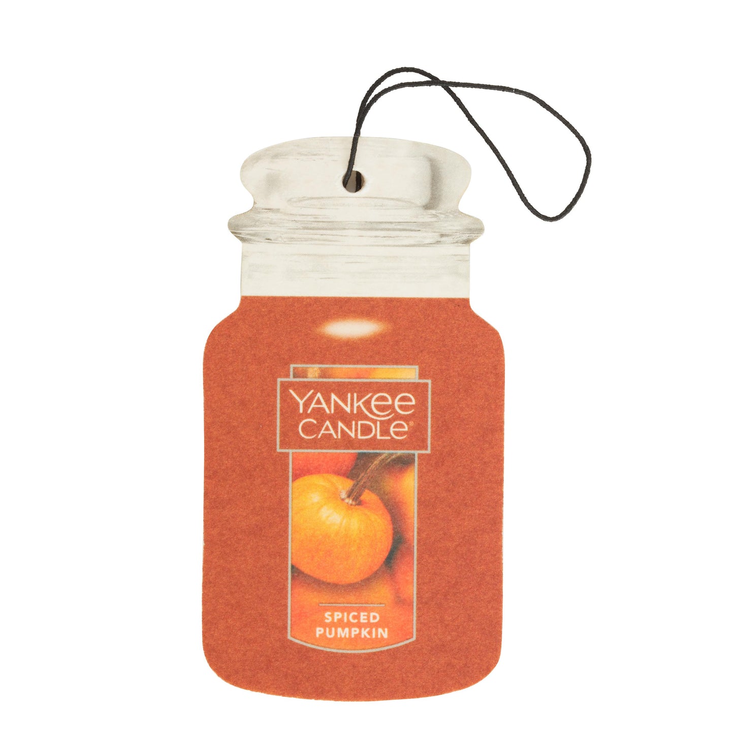 Spiced Pumpkin DPTU