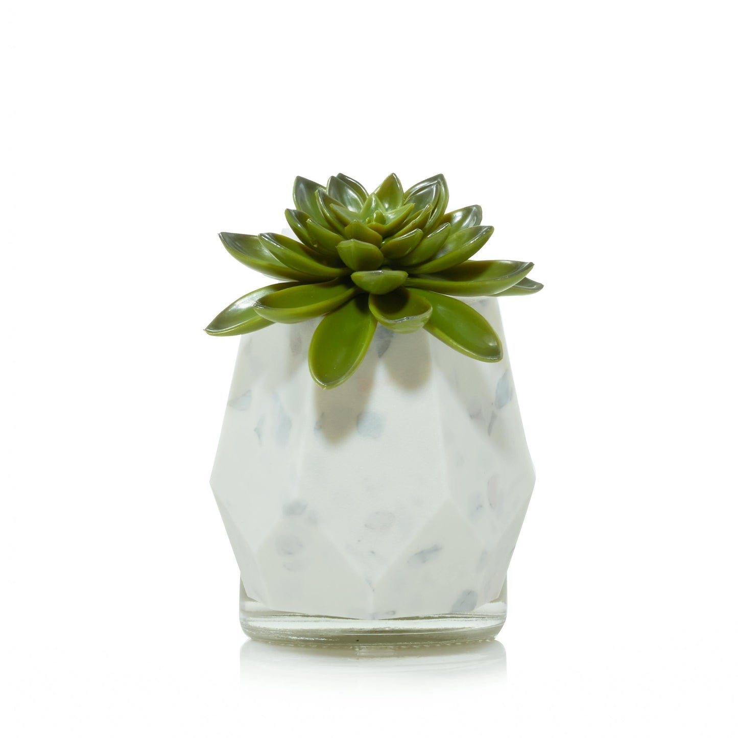 Faceted Succulent ScentPlug® Diffuser with Light HLSU