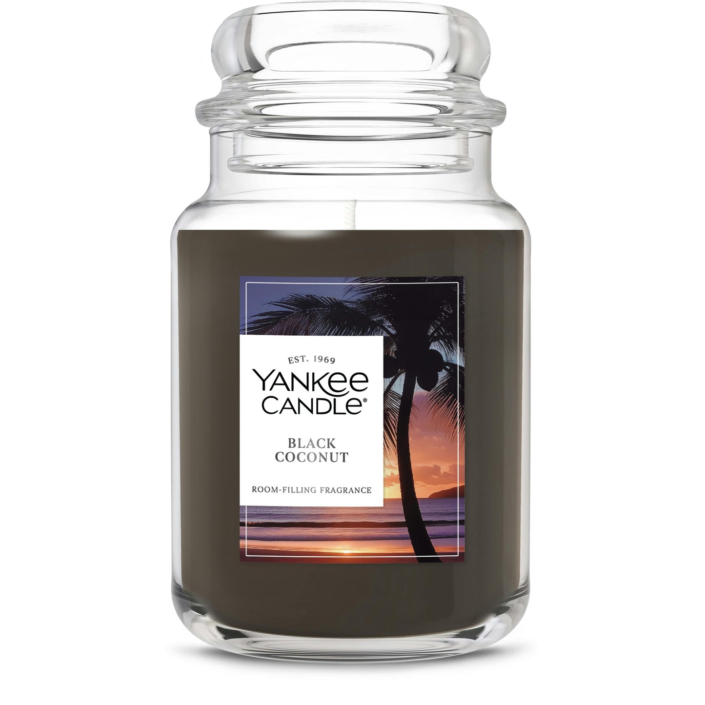 Black Coconut QLJZ