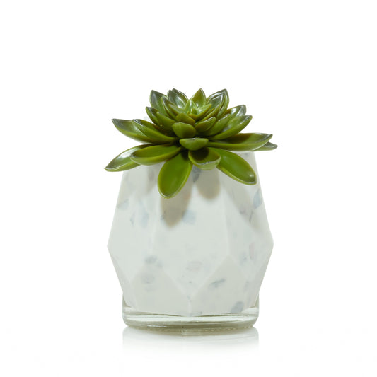 Faceted Succulent ScentPlug® Diffuser with Light HLSU